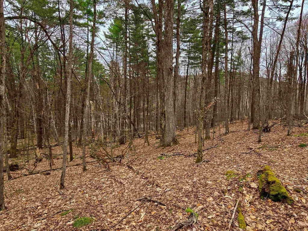 765 Camp Road Hubbardton VT 05733