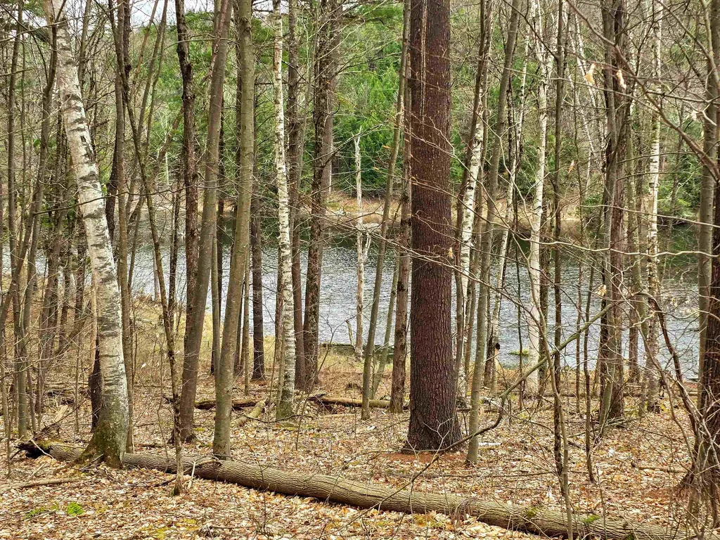 765 Camp Road Hubbardton VT 05733