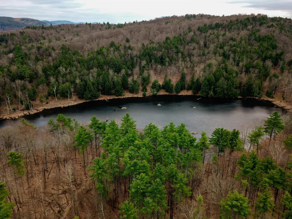 765 Camp Road Hubbardton VT 05733