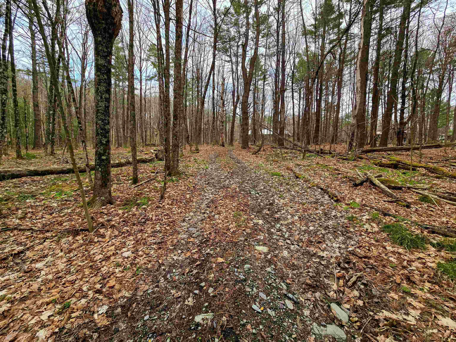 765 Camp Road Hubbardton VT 05733