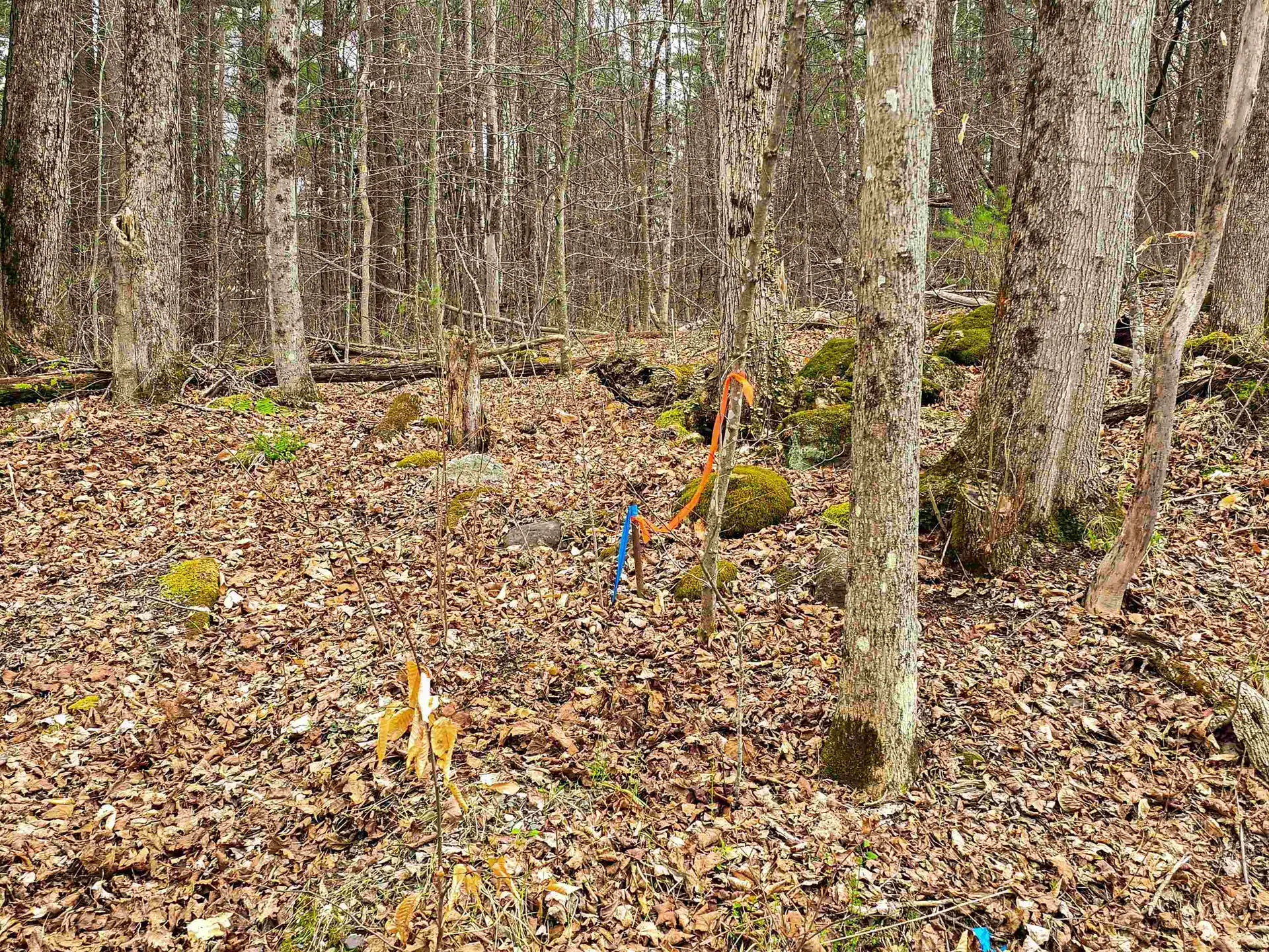 765 Camp Road Hubbardton VT 05733