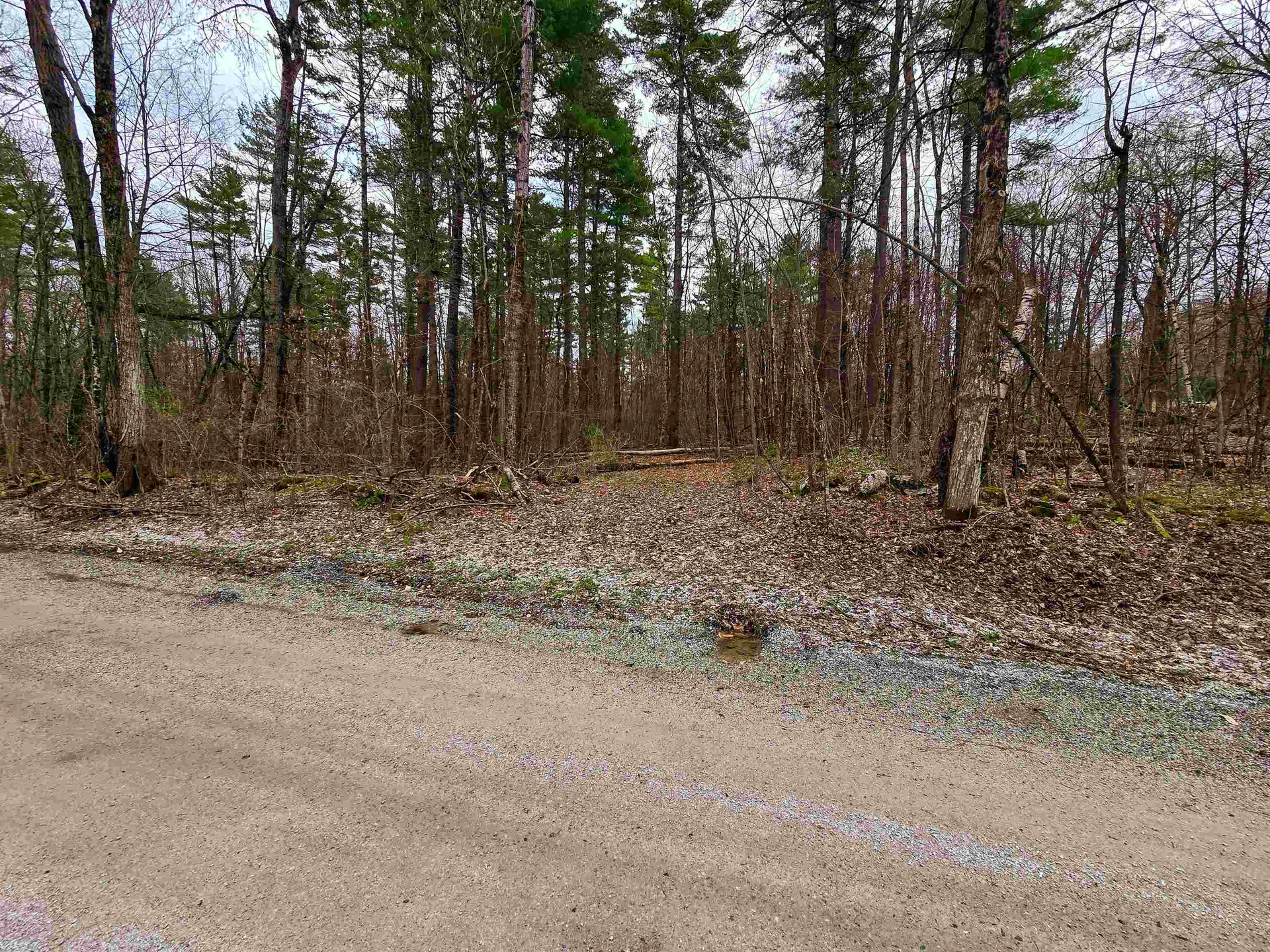 765 Camp Road Hubbardton VT 05733