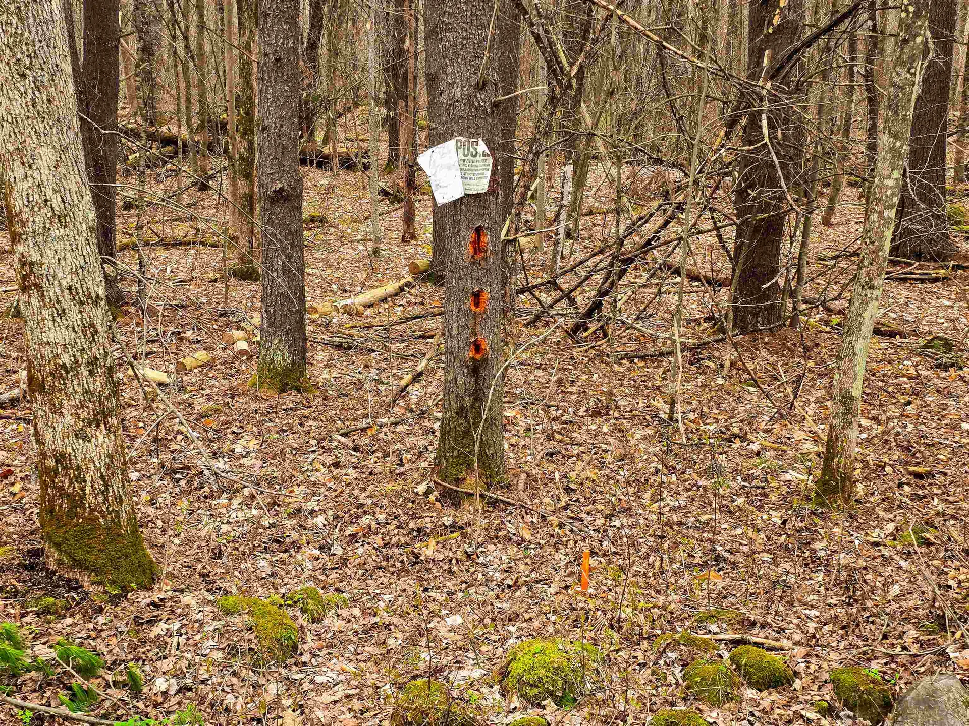 765 Camp Road Hubbardton VT 05733