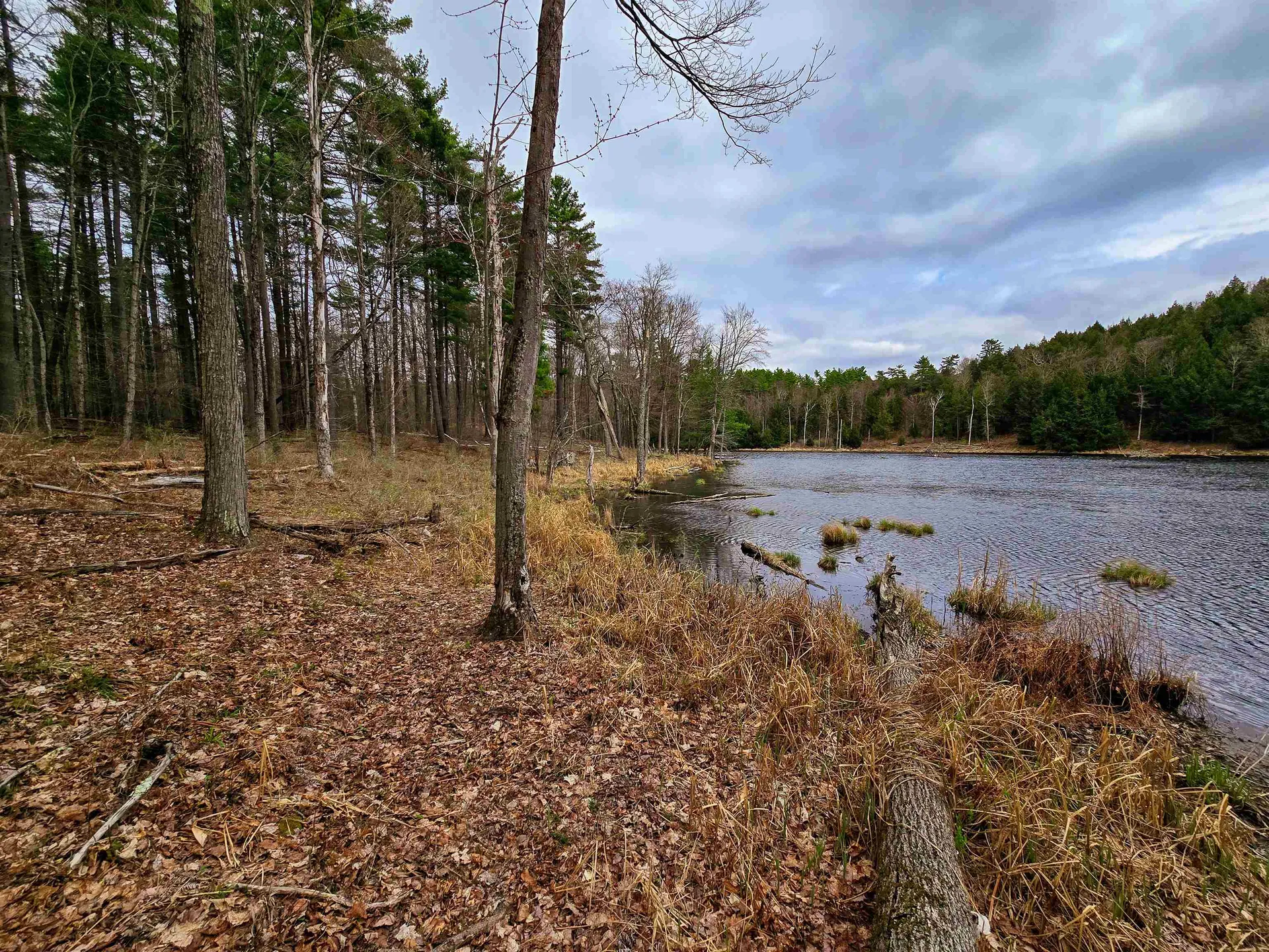 765 Camp Road Hubbardton VT 05733