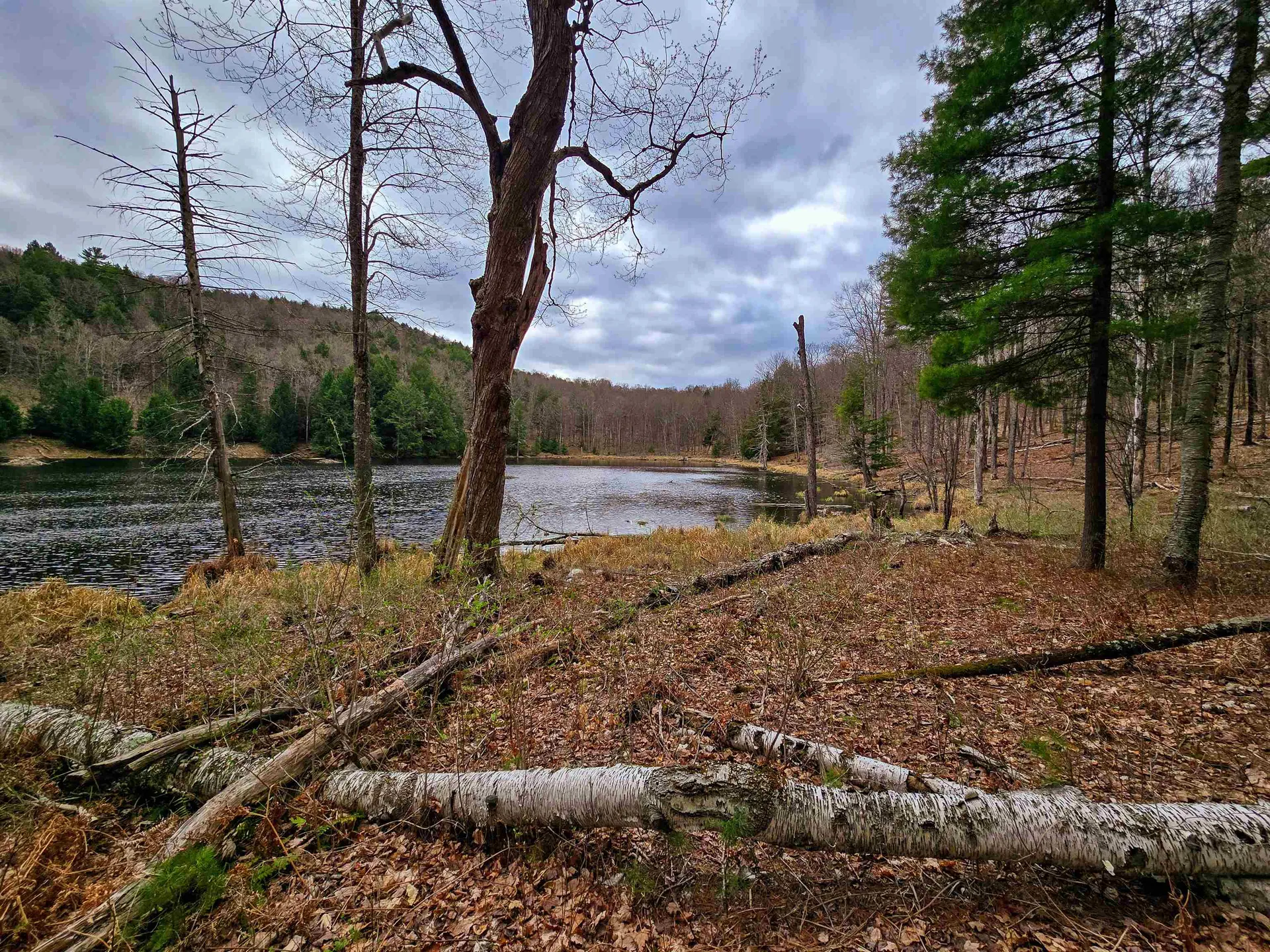 765 Camp Road Hubbardton VT 05733