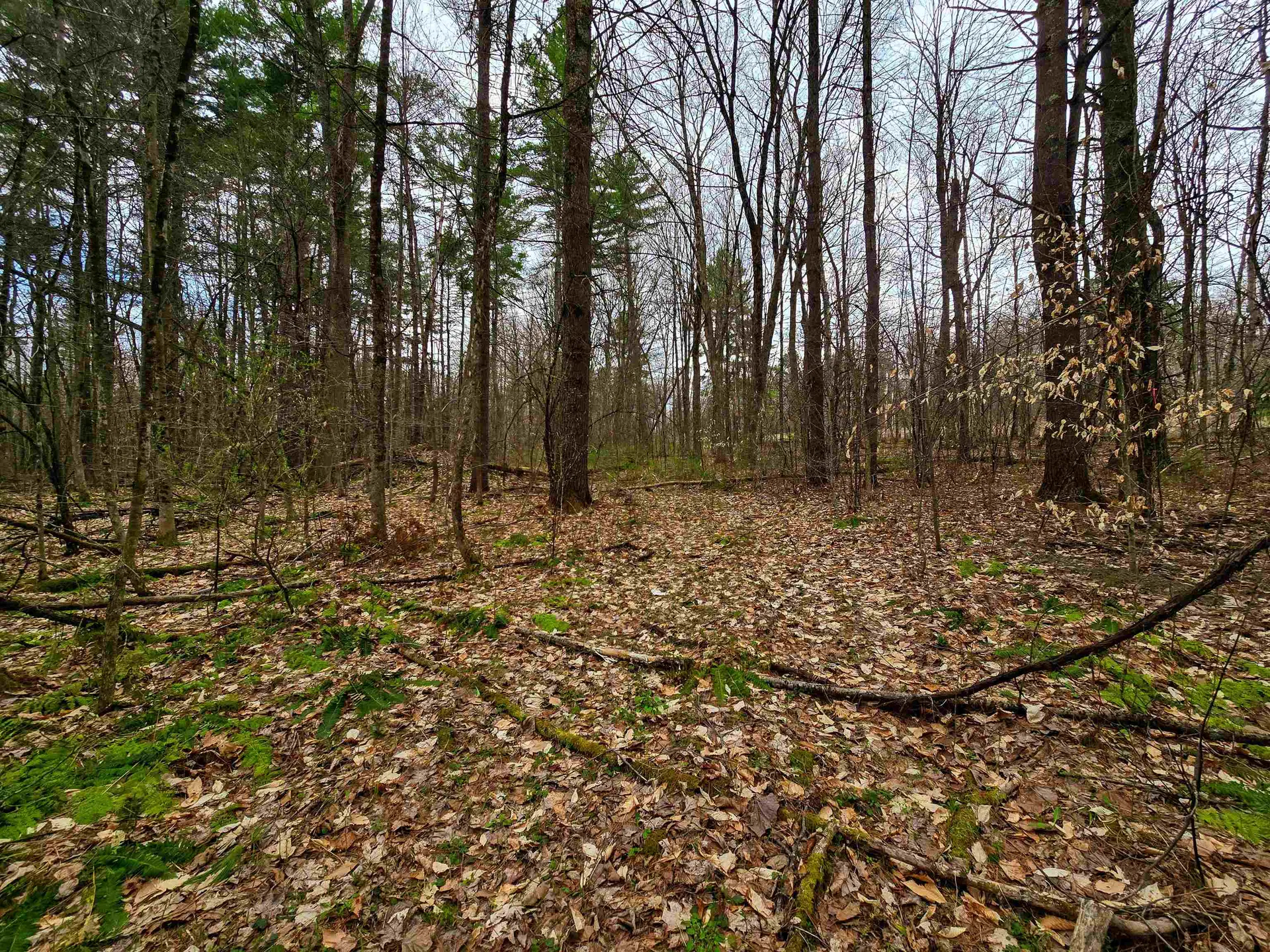 765 Camp Road Hubbardton VT 05733