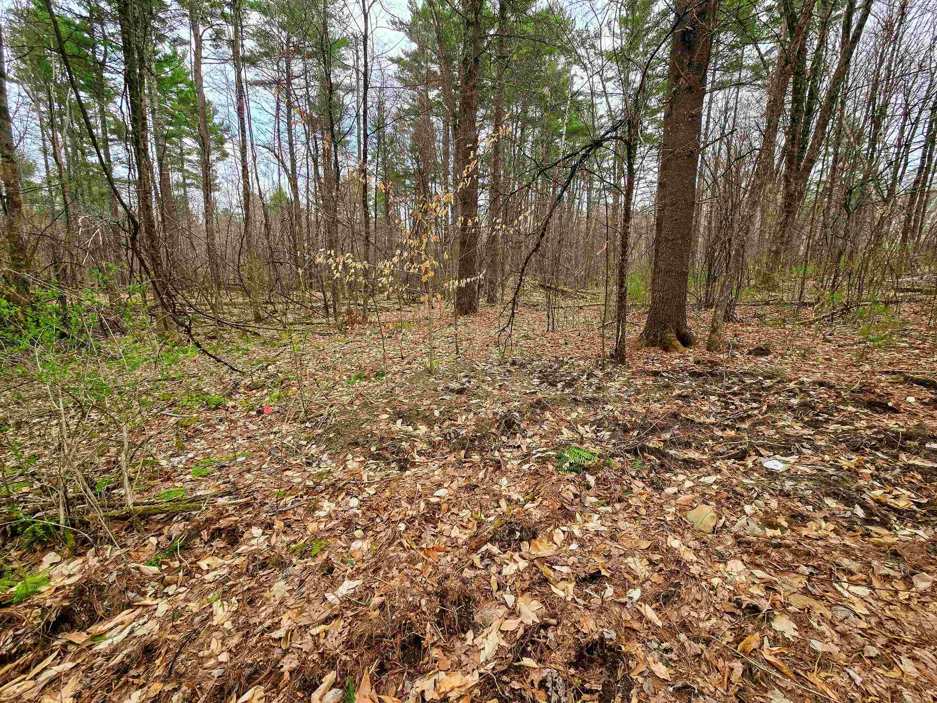 765 Camp Road Hubbardton VT 05733