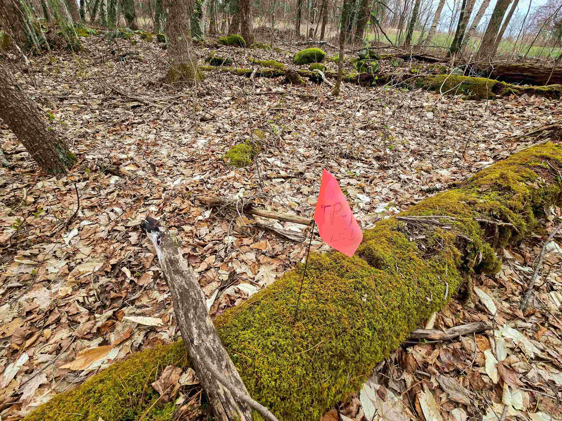 765 Camp Road Hubbardton VT 05733