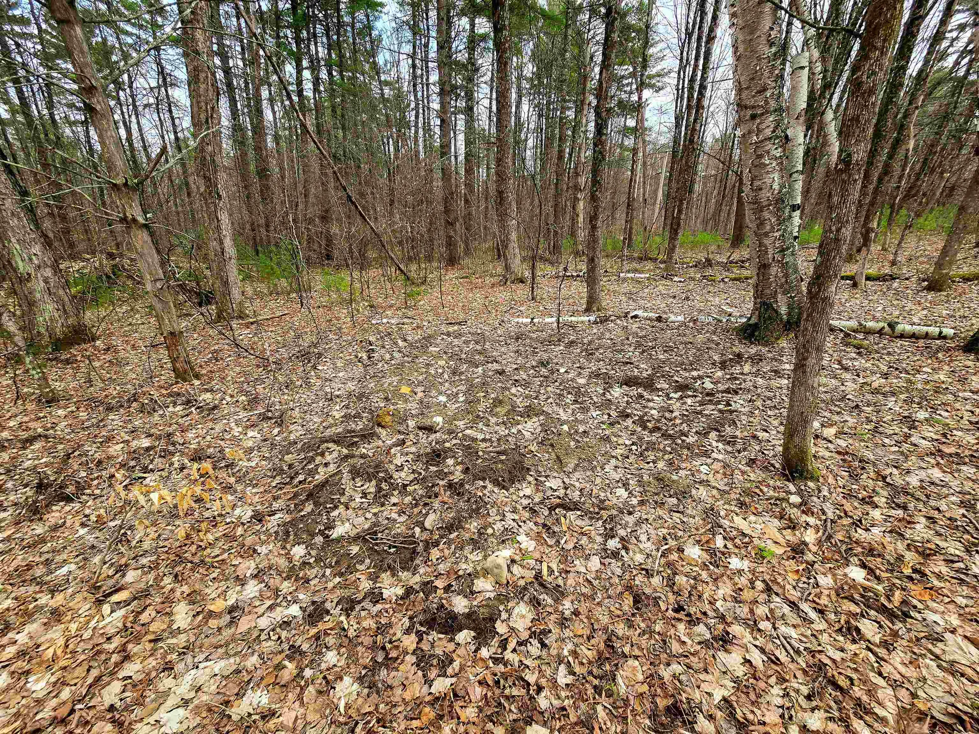 765 Camp Road Hubbardton VT 05733