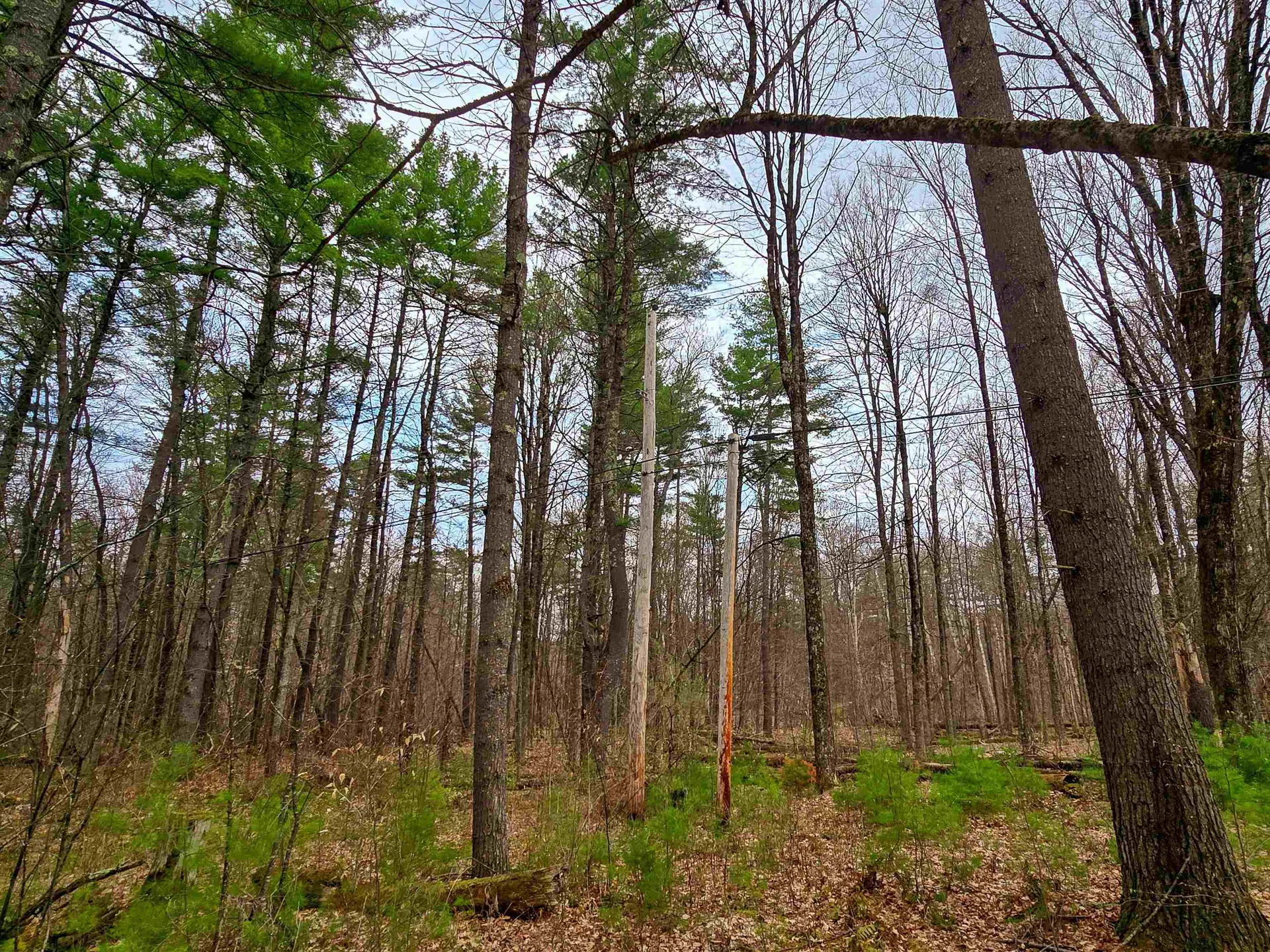 765 Camp Road Hubbardton VT 05733