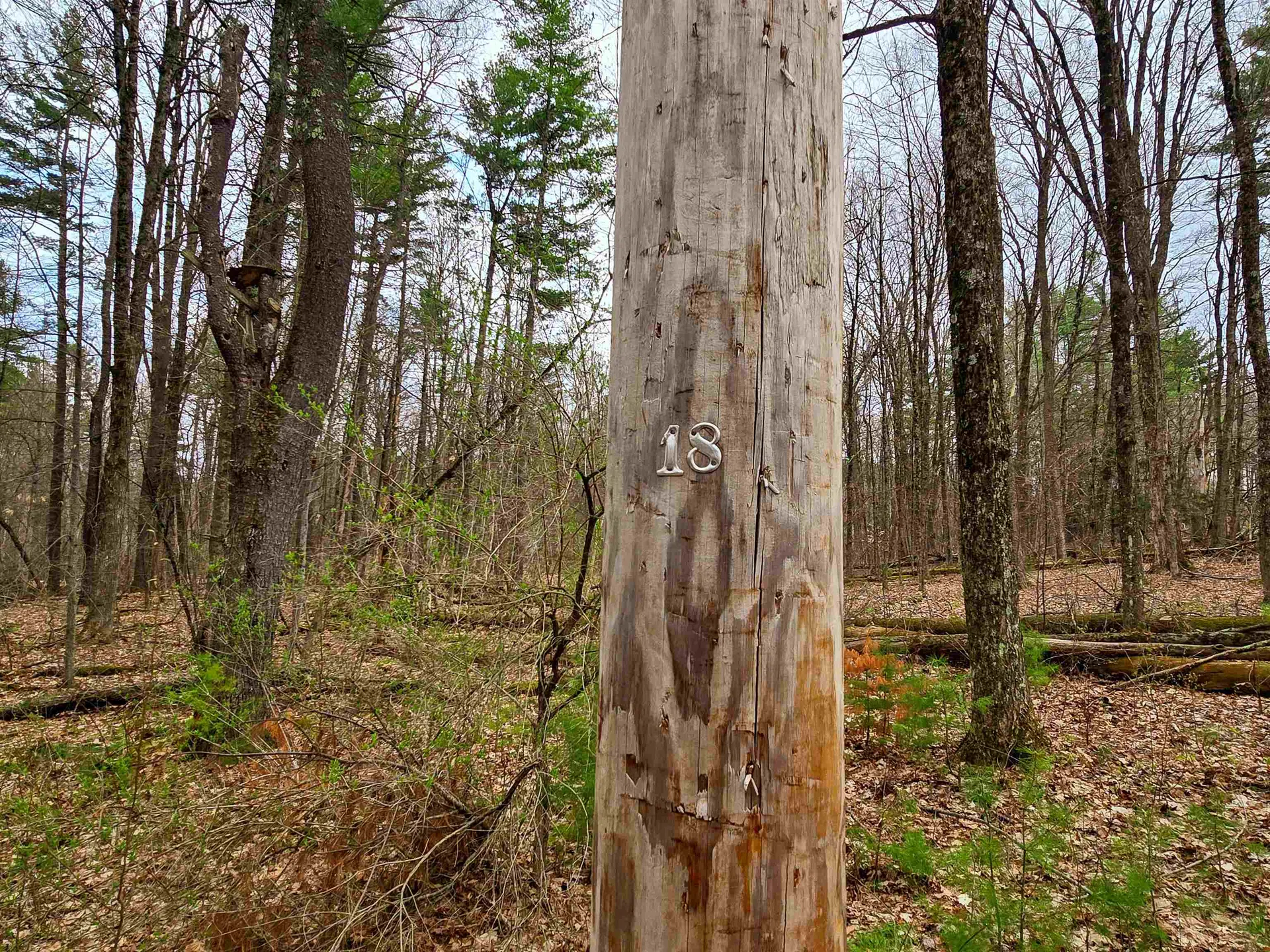 765 Camp Road Hubbardton VT 05733