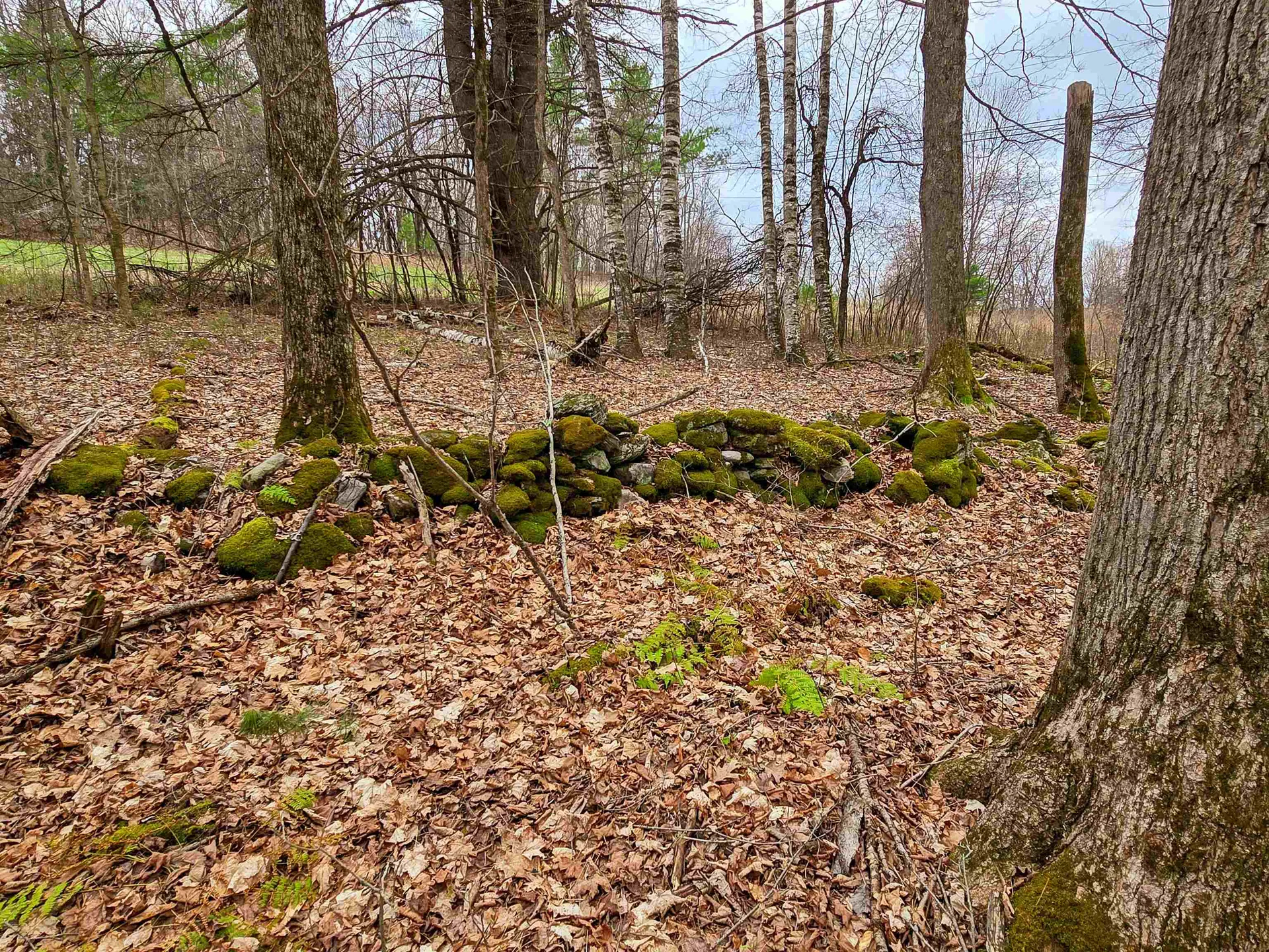 765 Camp Road Hubbardton VT 05733