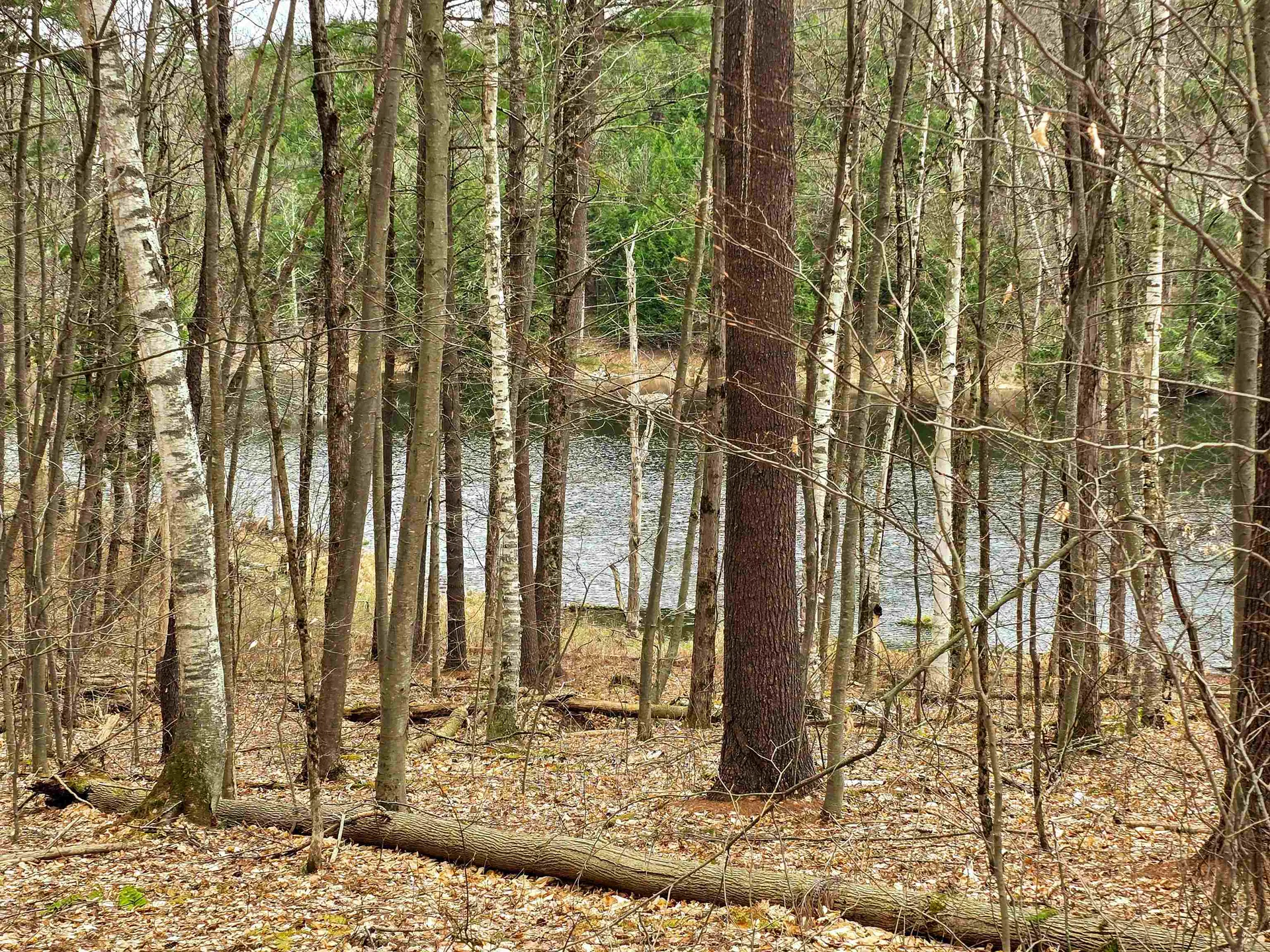 765 Camp Road Hubbardton VT 05733