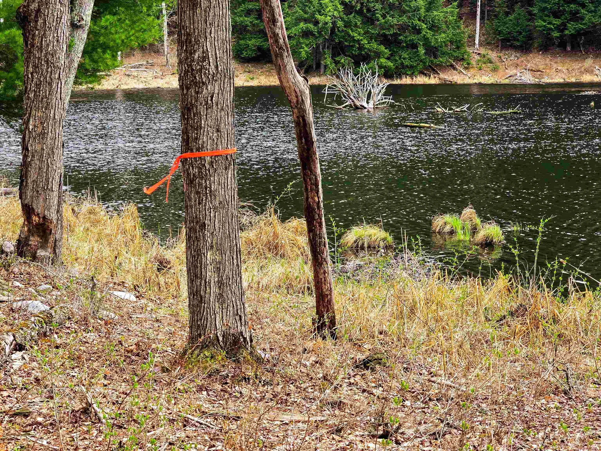 765 Camp Road Hubbardton VT 05733