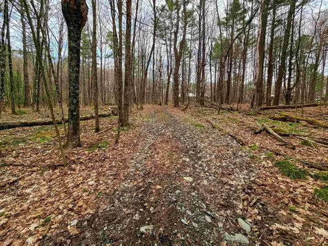 765 Camp Road Hubbardton VT 05733