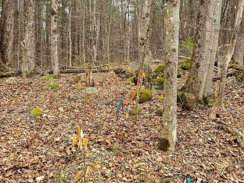 765 Camp Road Hubbardton VT 05733