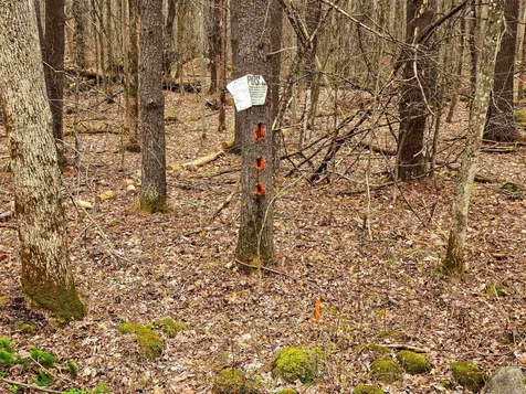 765 Camp Road Hubbardton VT 05733