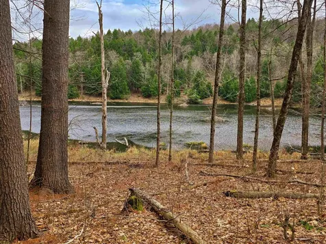 765 Camp Road Hubbardton VT 05733