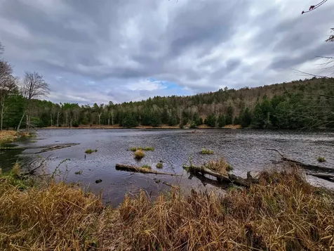 765 Camp Road Hubbardton VT 05733
