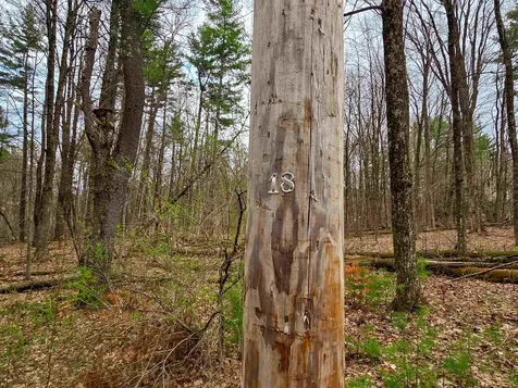 765 Camp Road Hubbardton VT 05733