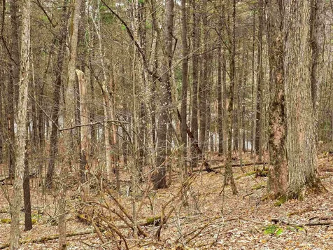 765 Camp Road Hubbardton VT 05733