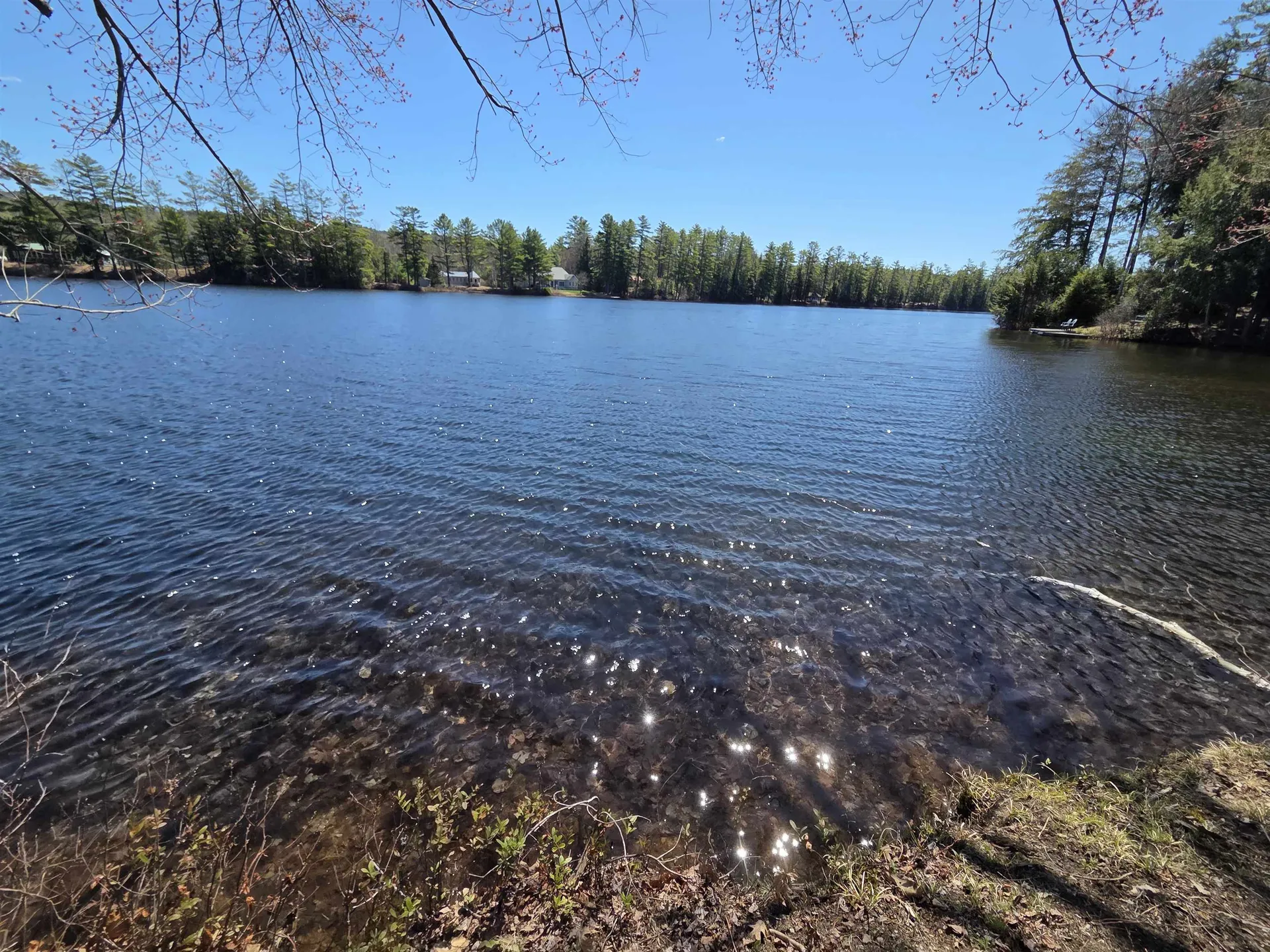 12 Beard Lane Grafton NH 03420