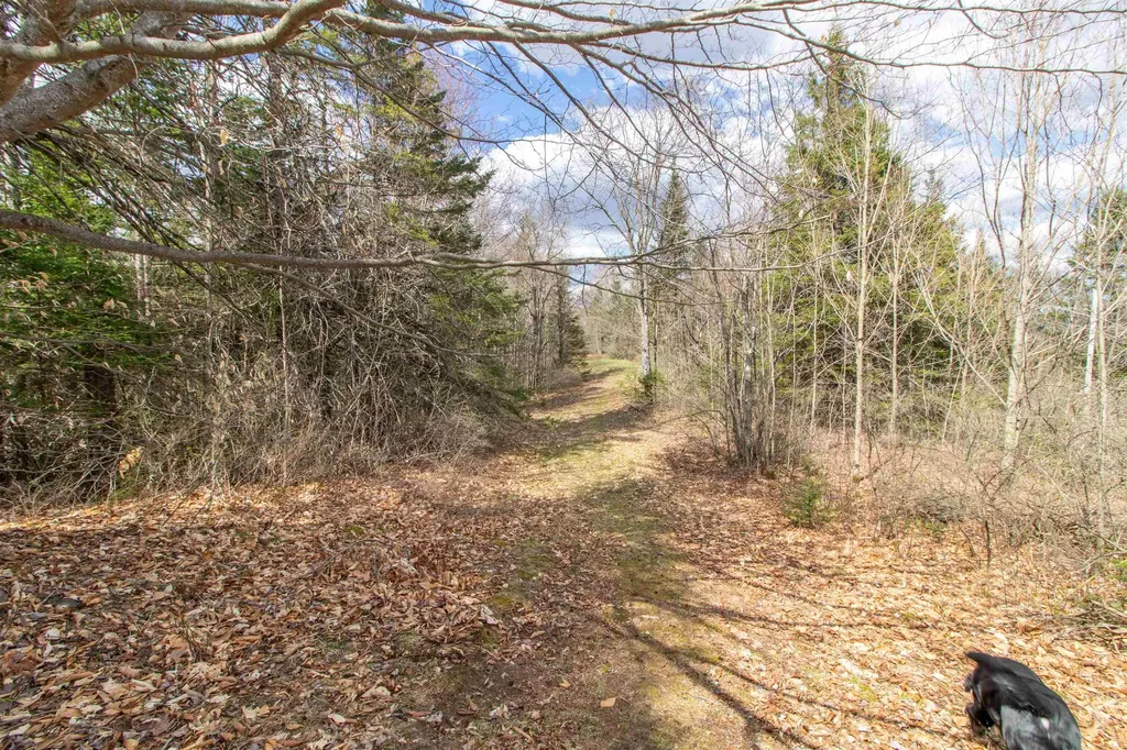 00 Darling Hill Road Burke VT 05832