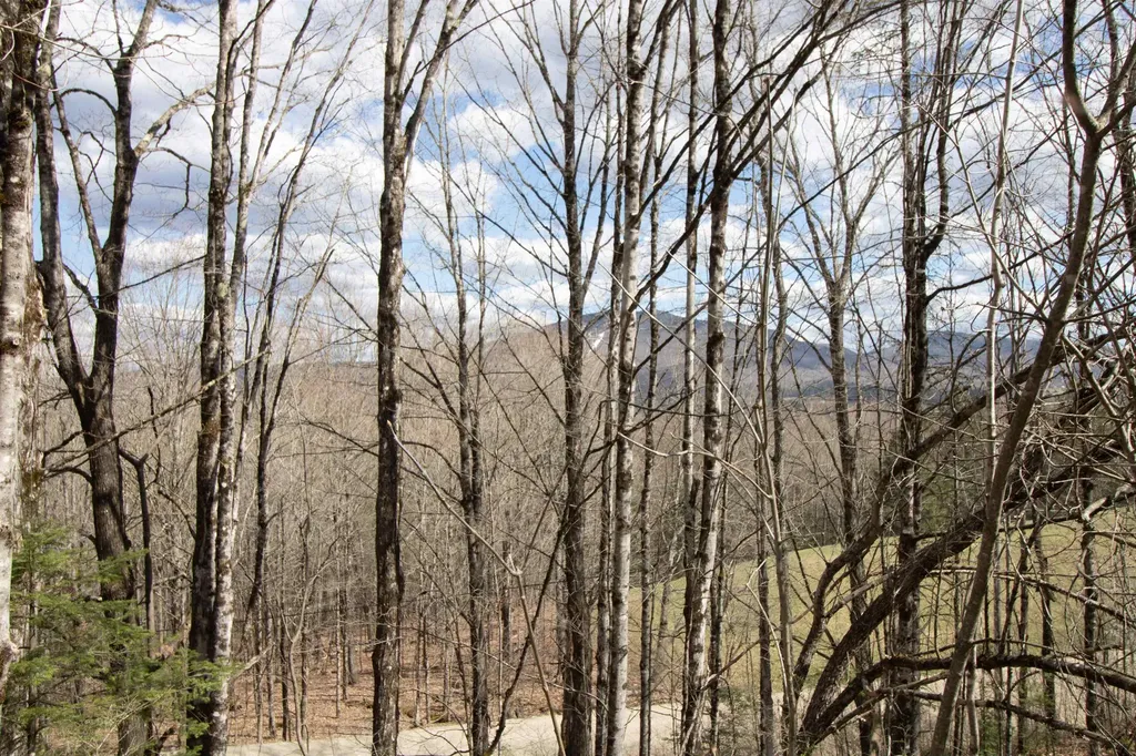 00 Darling Hill Road Burke VT 05832