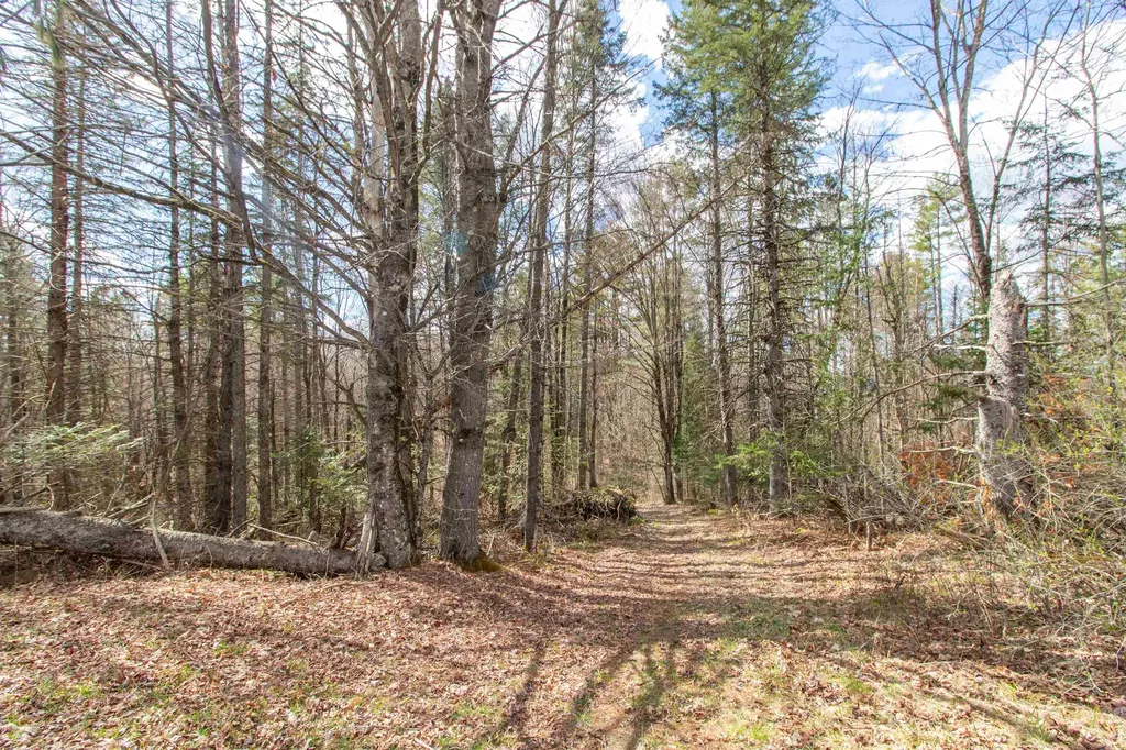 00 Darling Hill Road Burke VT 05832