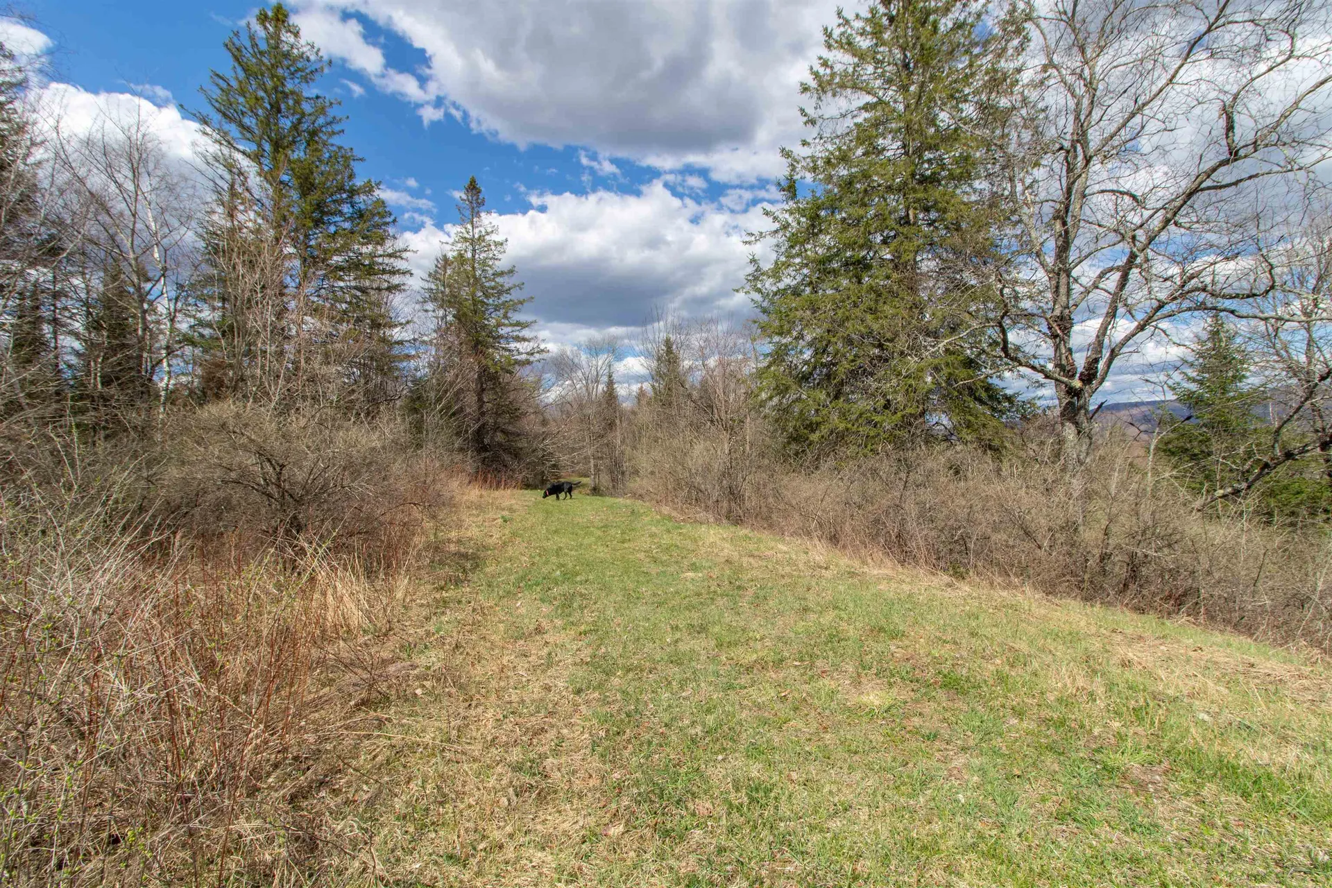 00 Darling Hill Road Burke VT 05832