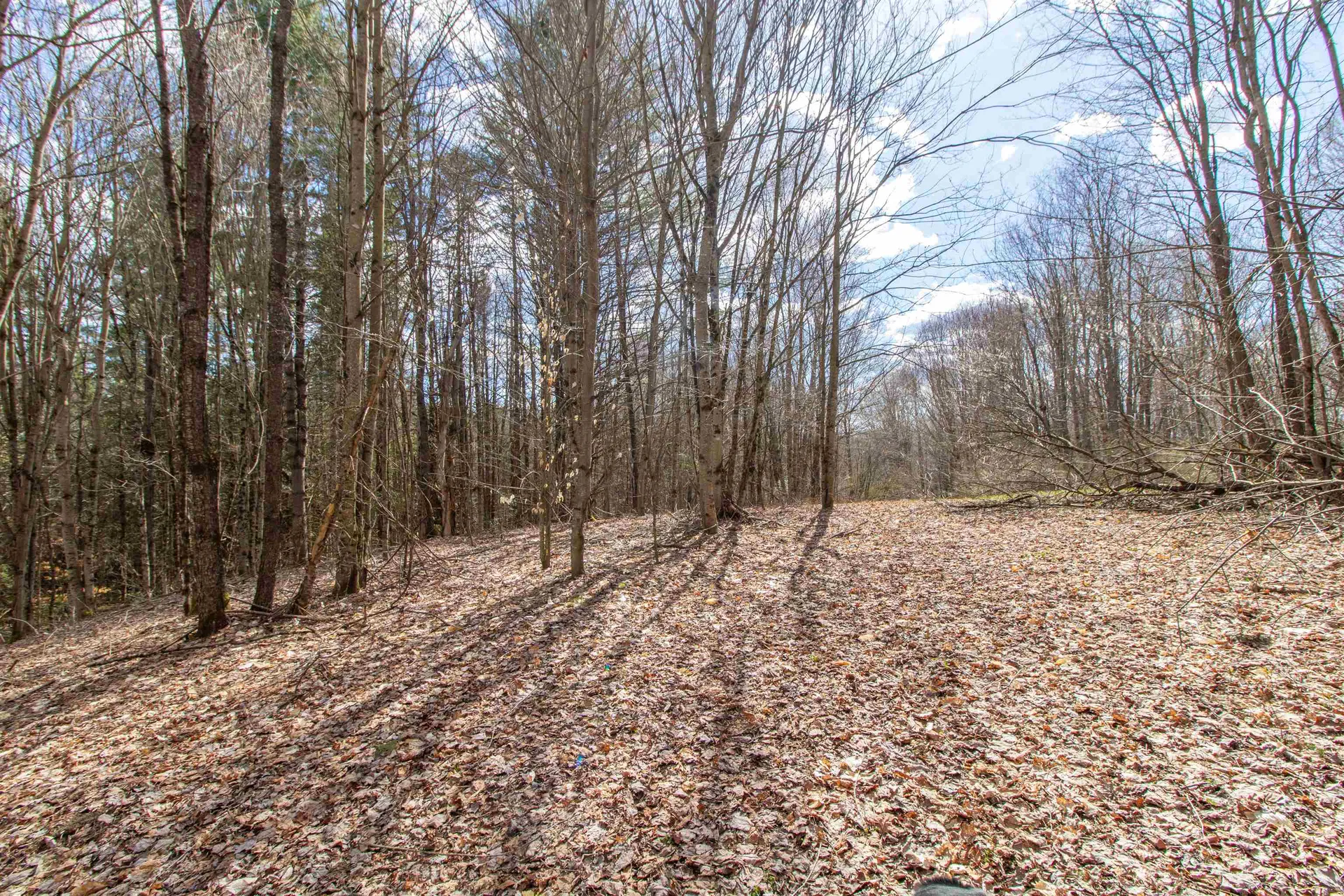 00 Darling Hill Road Burke VT 05832