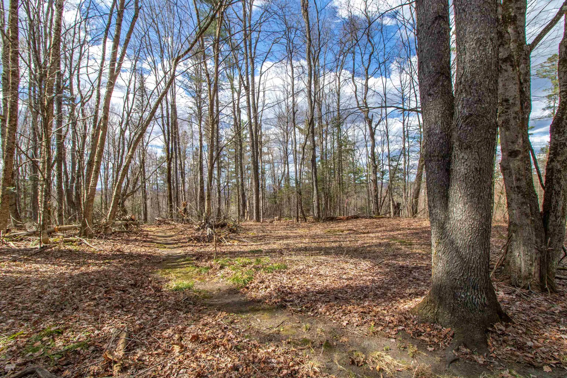 00 Darling Hill Road Burke VT 05832