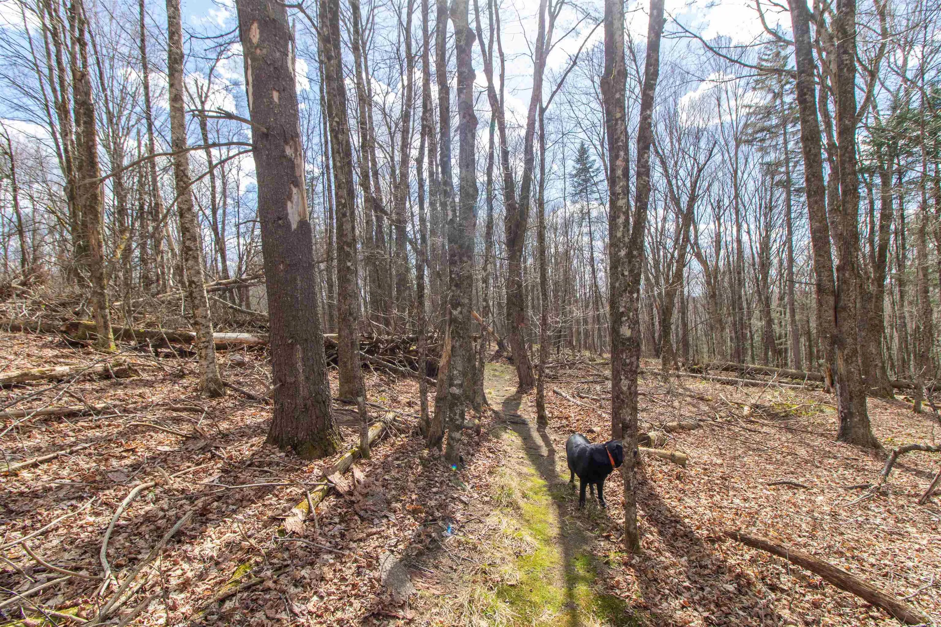 00 Darling Hill Road Burke VT 05832