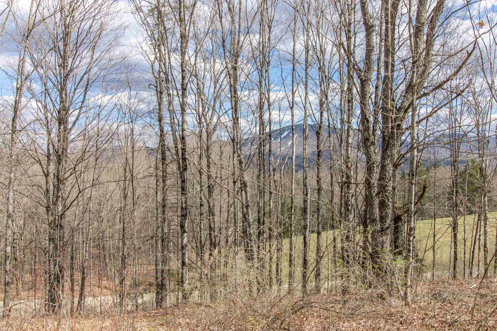 00 Darling Hill Road Burke VT 05832