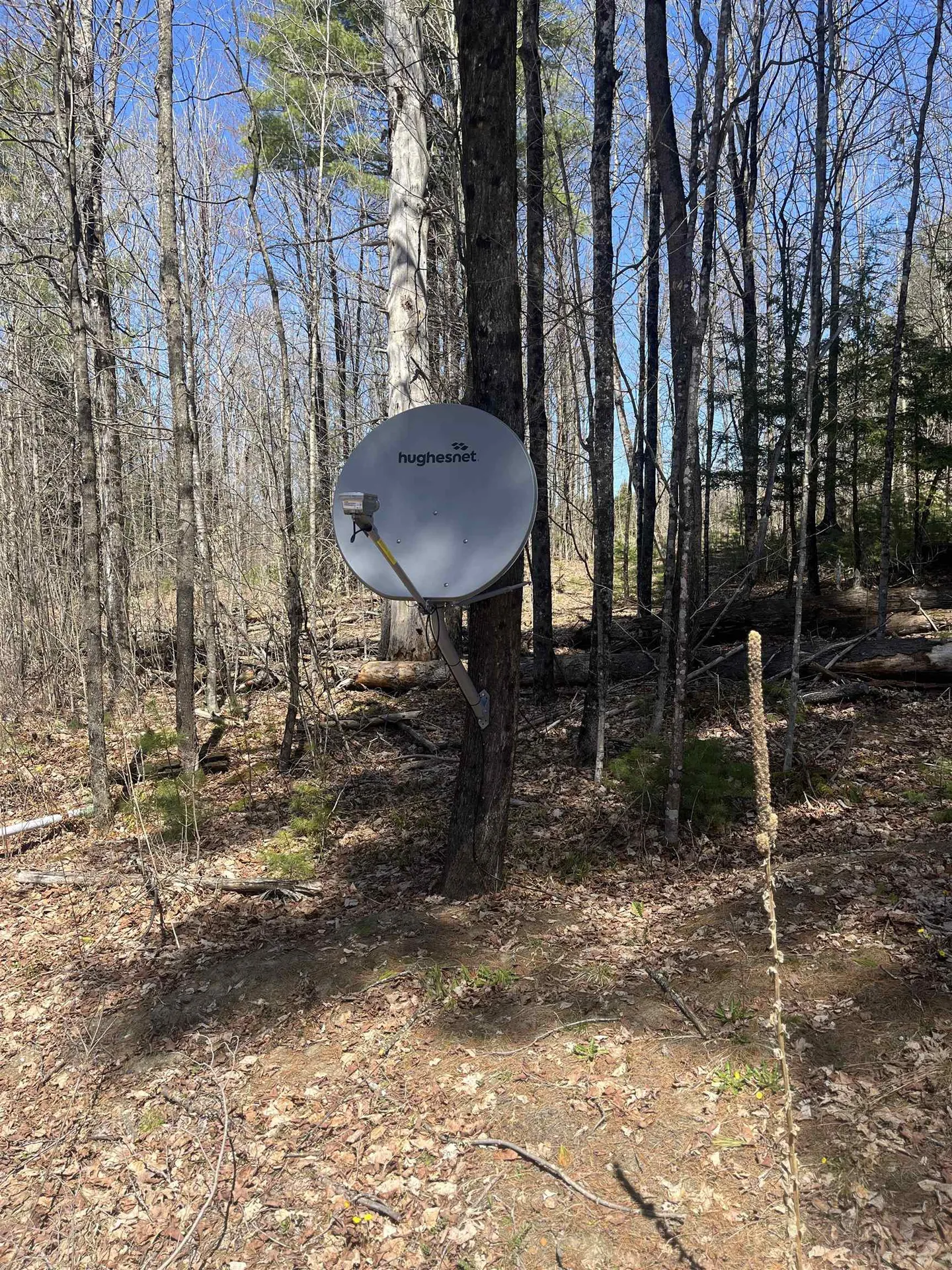 1295 River Road Troy VT 05859