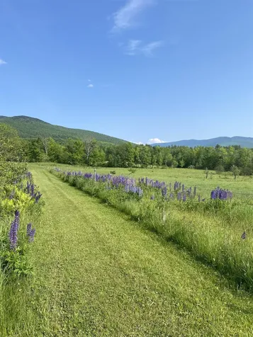 26 Herman Savage Road Northumberland NH 03584