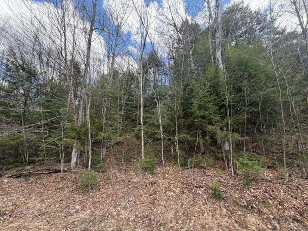 120 Rocky Ledge Road Eden VT 05653