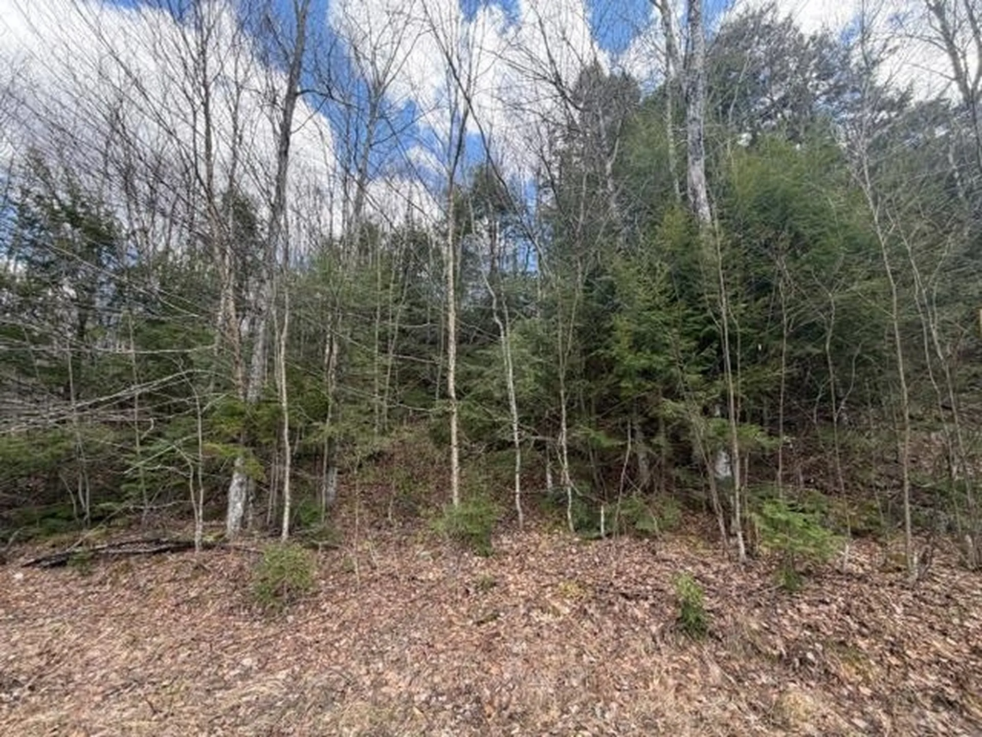 120 Rocky Ledge Road Eden VT 05653