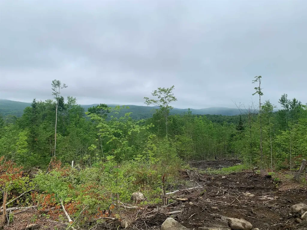 14 Washburn Road Columbia NH 03576