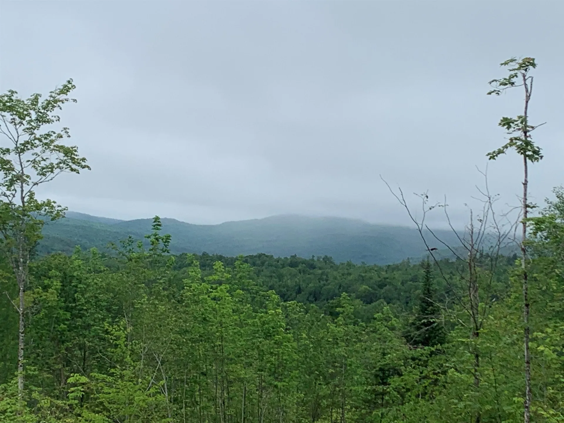14 Washburn Road Columbia NH 03576