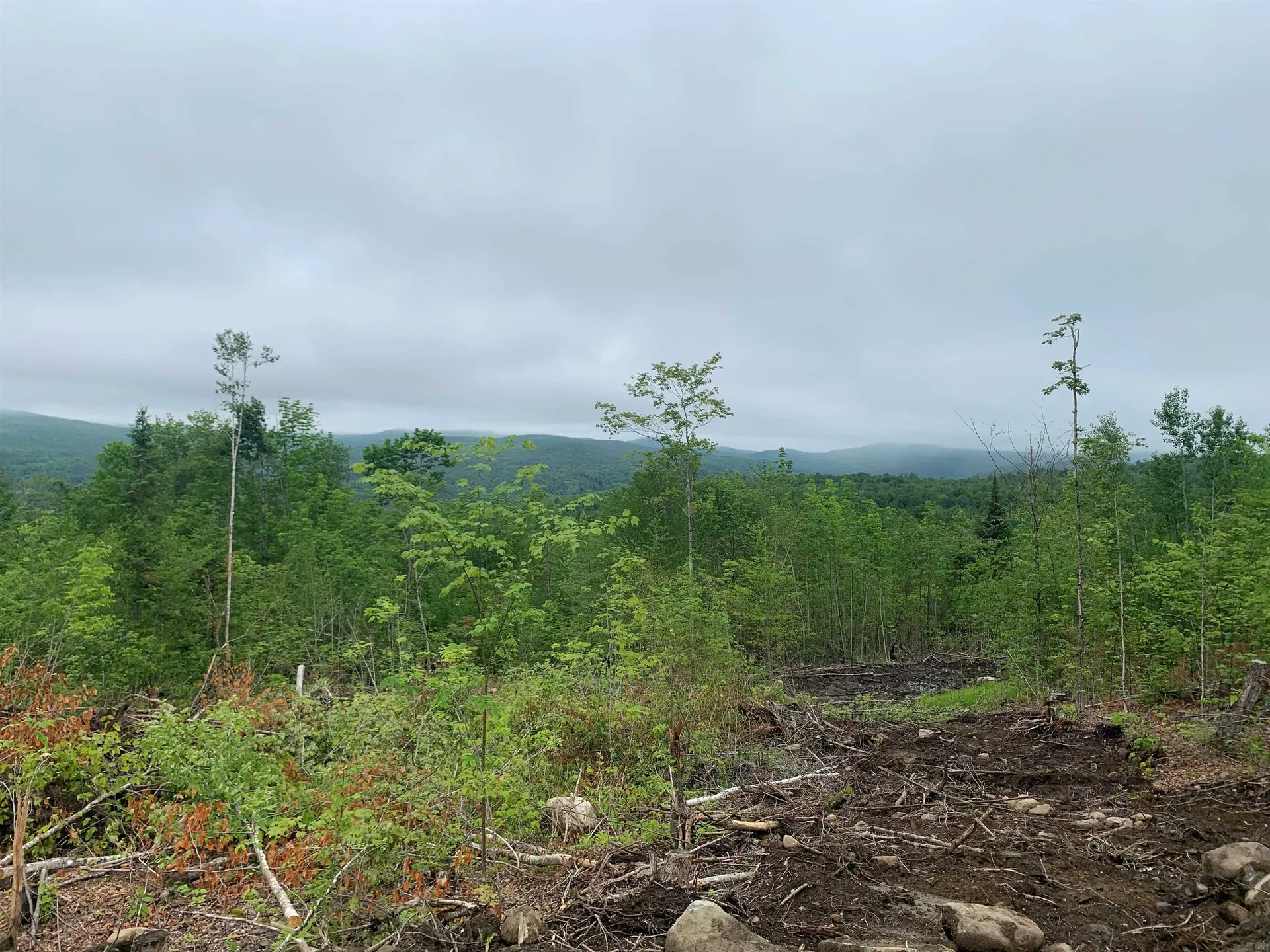 14 Washburn Road Columbia NH 03576