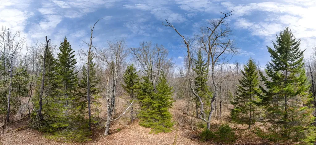 00 Higley Hill Road Marlboro VT 05344