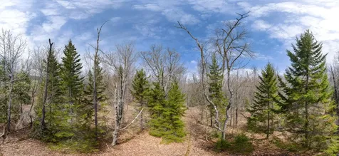 00 Higley Hill Road Marlboro VT 05344