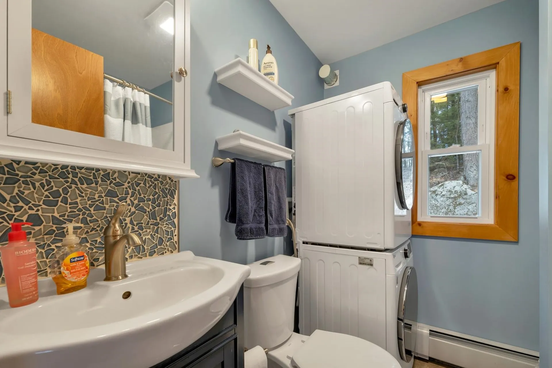 202 Alton Shores Road Alton NH 03810
