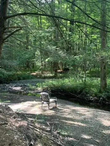 22 Deans Landing Chesterfield NH 03443