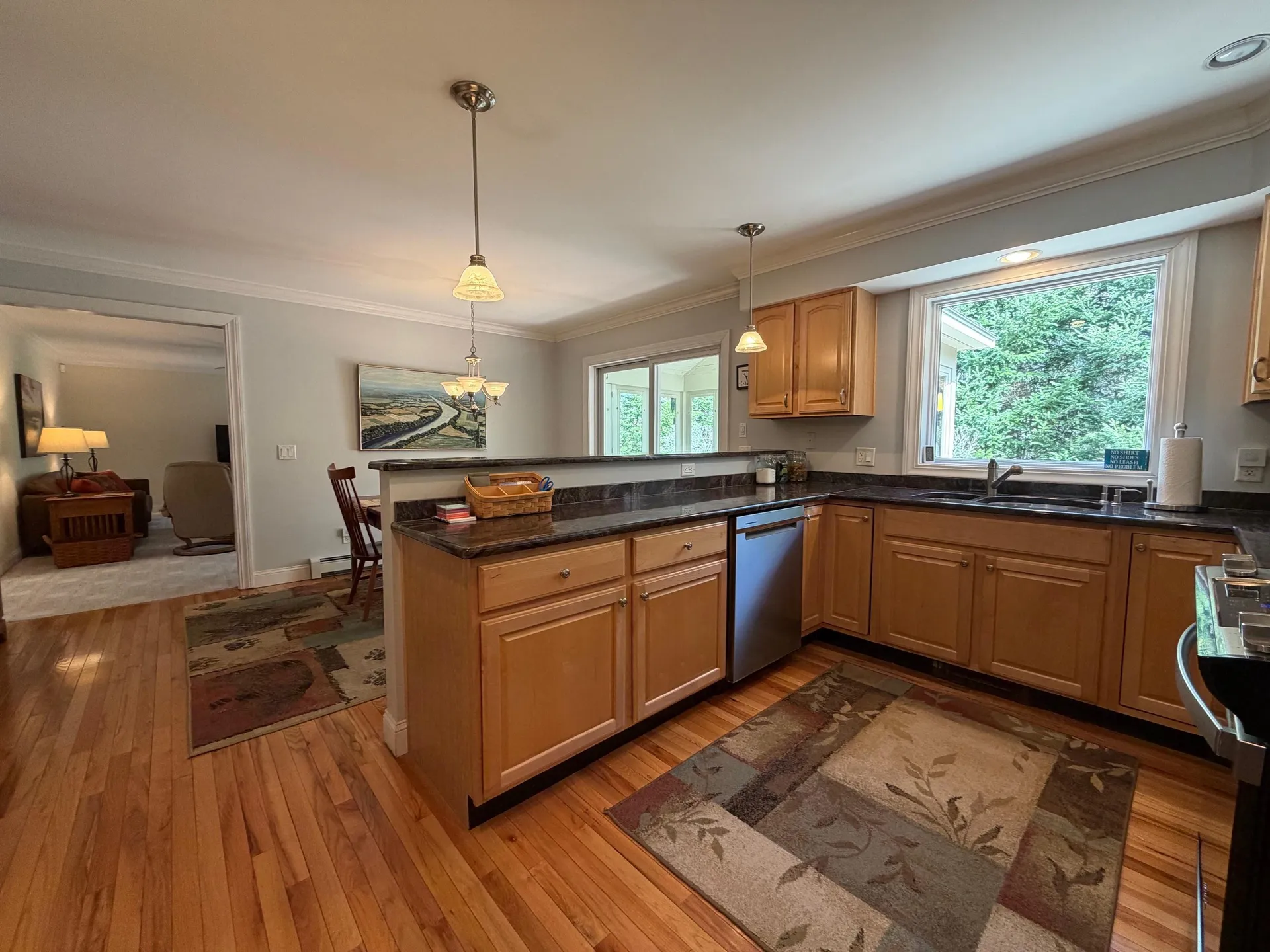 56 Glenwood Drive Springfield NH 03284