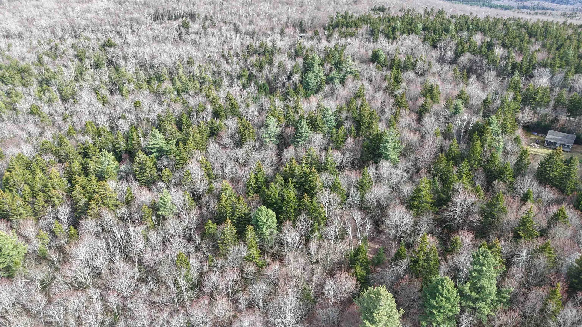 3 W Hill Drive Readsboro VT 05350