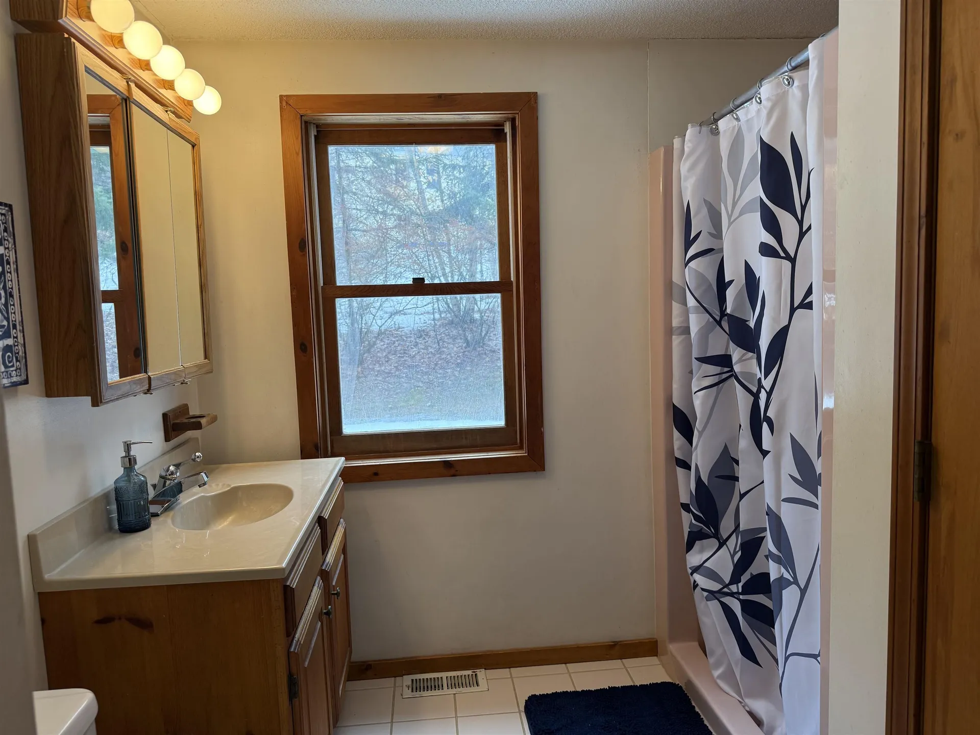 33 Kolbe Lane Enfield NH 03748