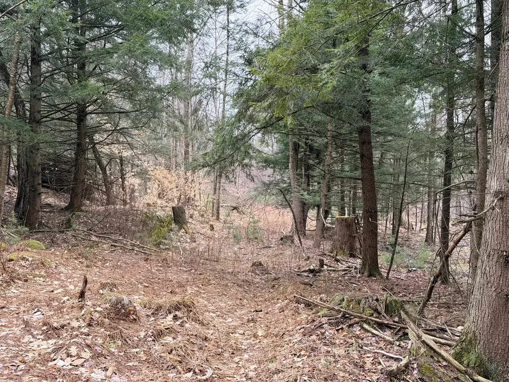 0 Dunton Road Highgate VT 05459
