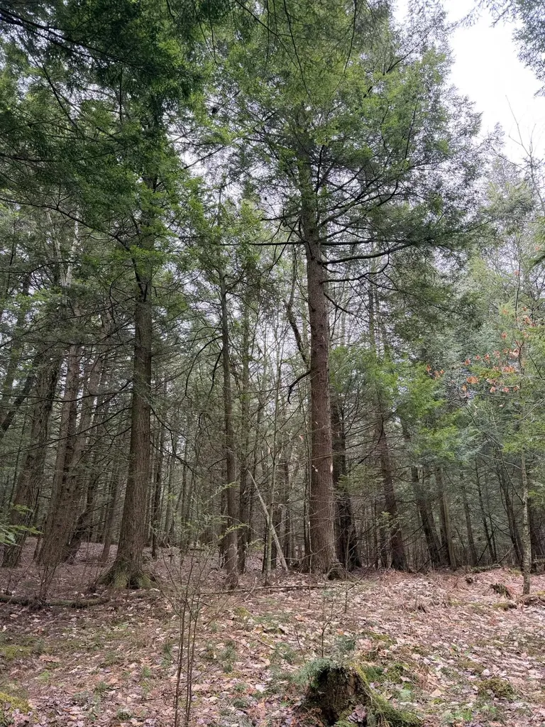 0 Dunton Road Highgate VT 05459